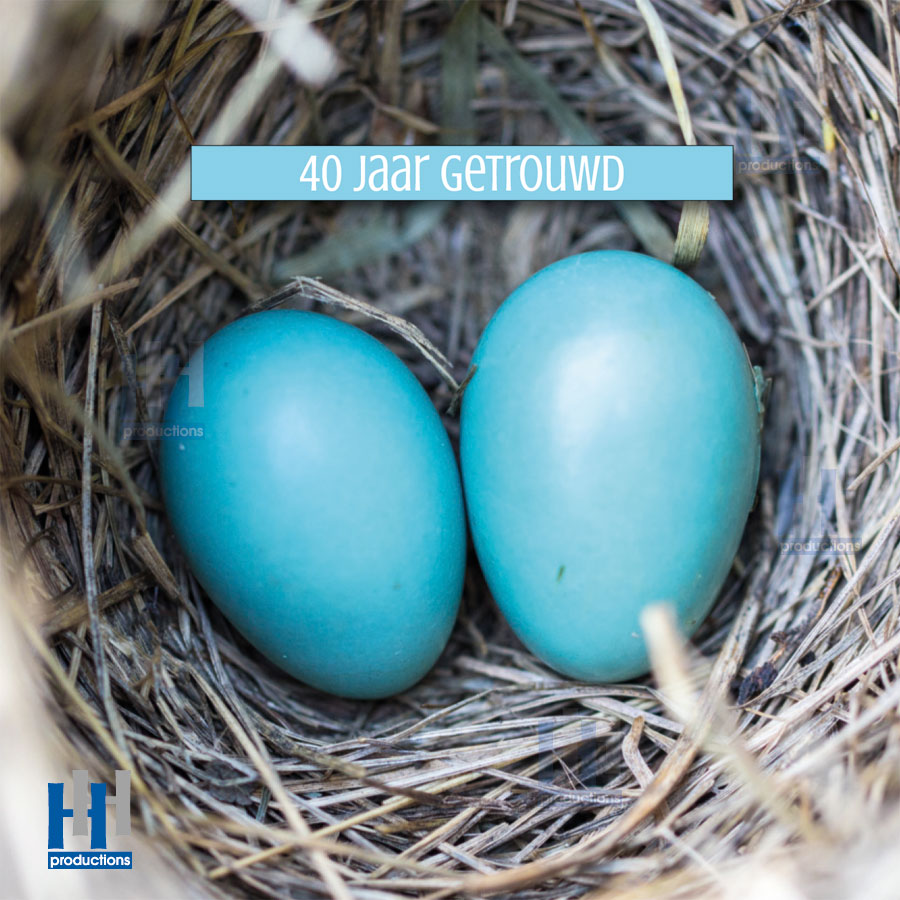 J029 ei jubileum nest