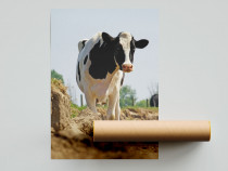 Uw eigen poster afdrukken
