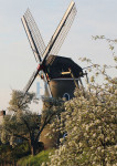 De Vrijheid, Beesd - 450-5