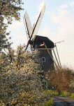 De Vrijheid Beesd - 019-4