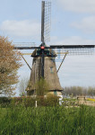 Zuidhollandse molen Hank - 019-6