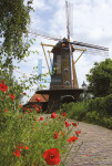 Molen Zeldenrust, Hooge Zwaluwe - 019-8 - poster